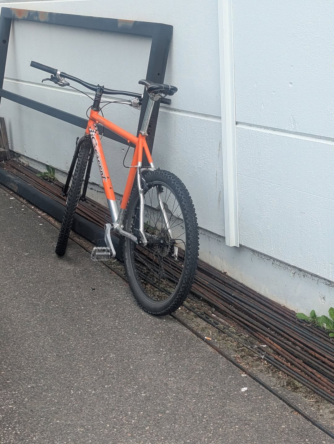 Found bike