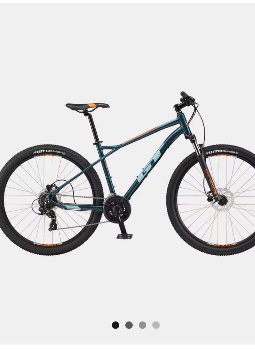 Lost Bike in Hamar