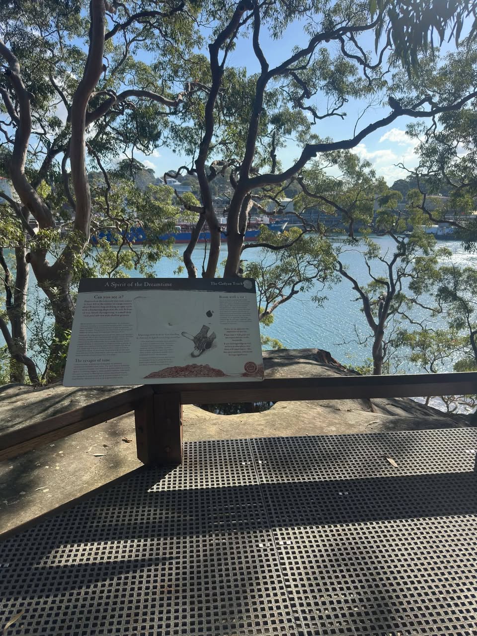 Lost Camera in Sydney
