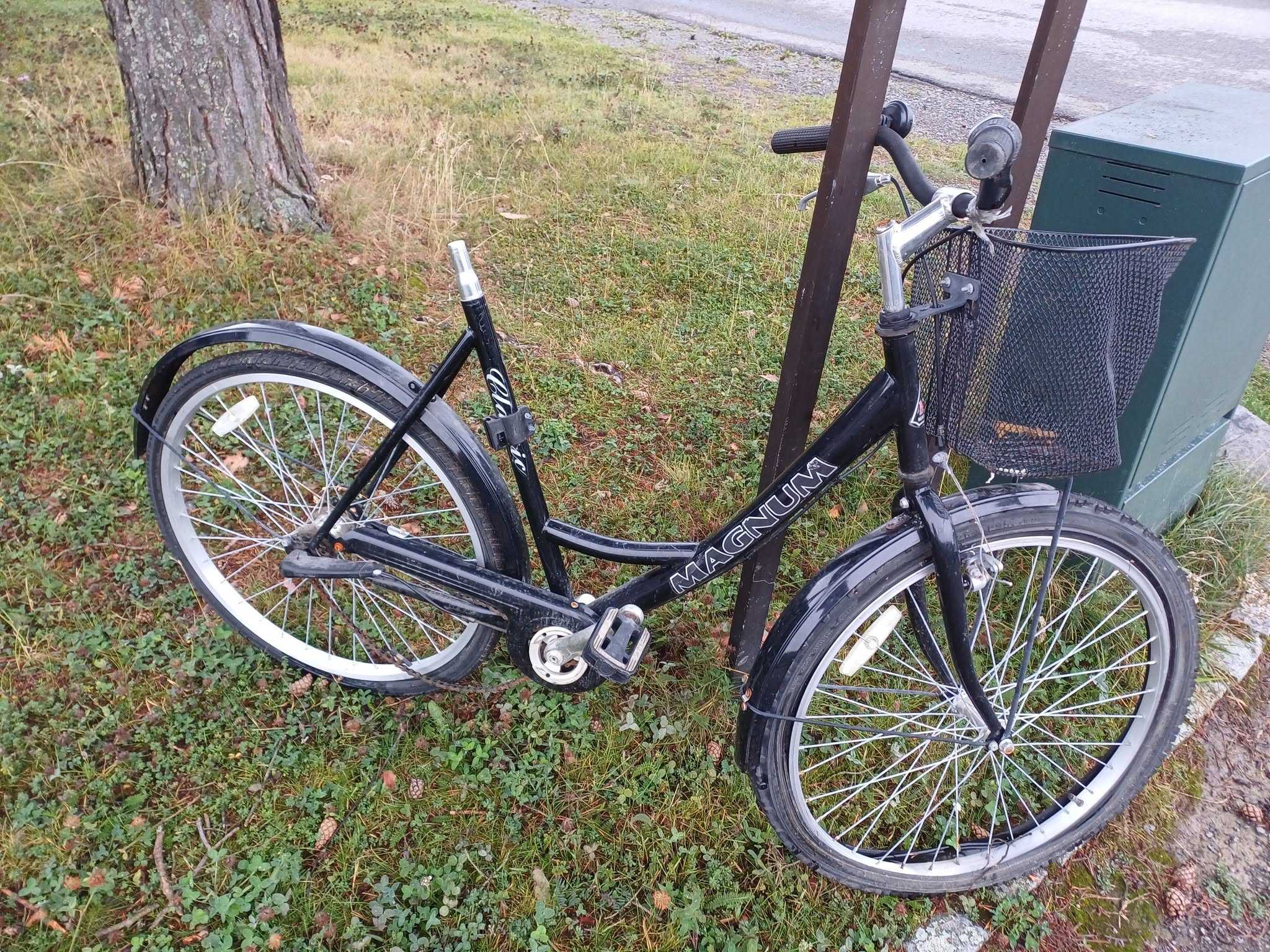 Found bike