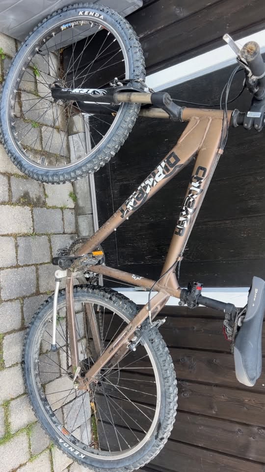 Found Bike in Hamar
