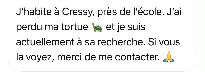 Lost Tortoise in Geneva