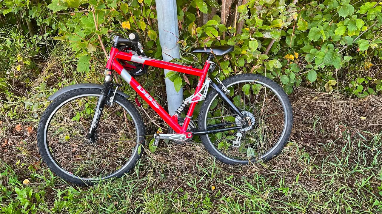 Found bike