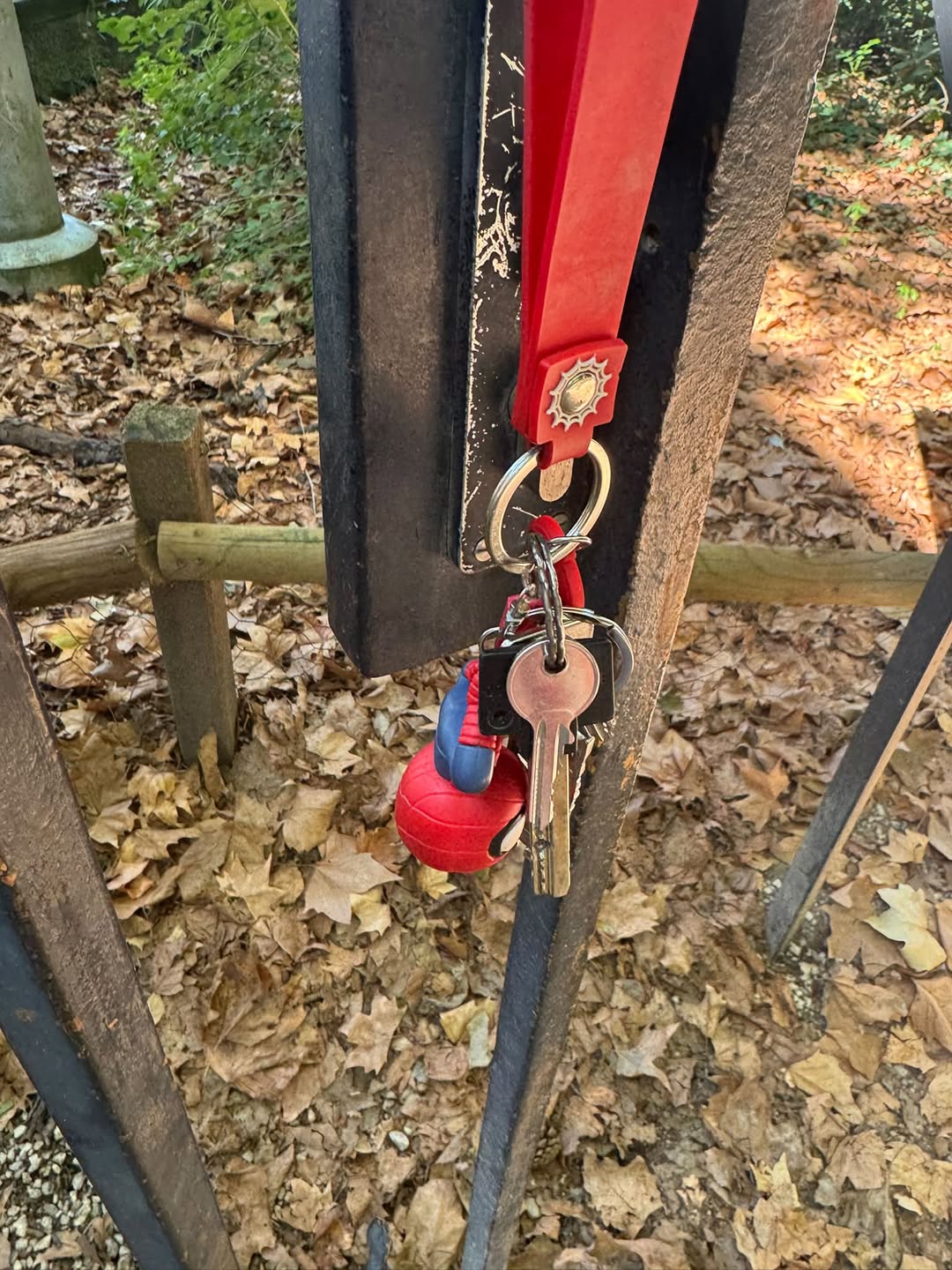 Found keys