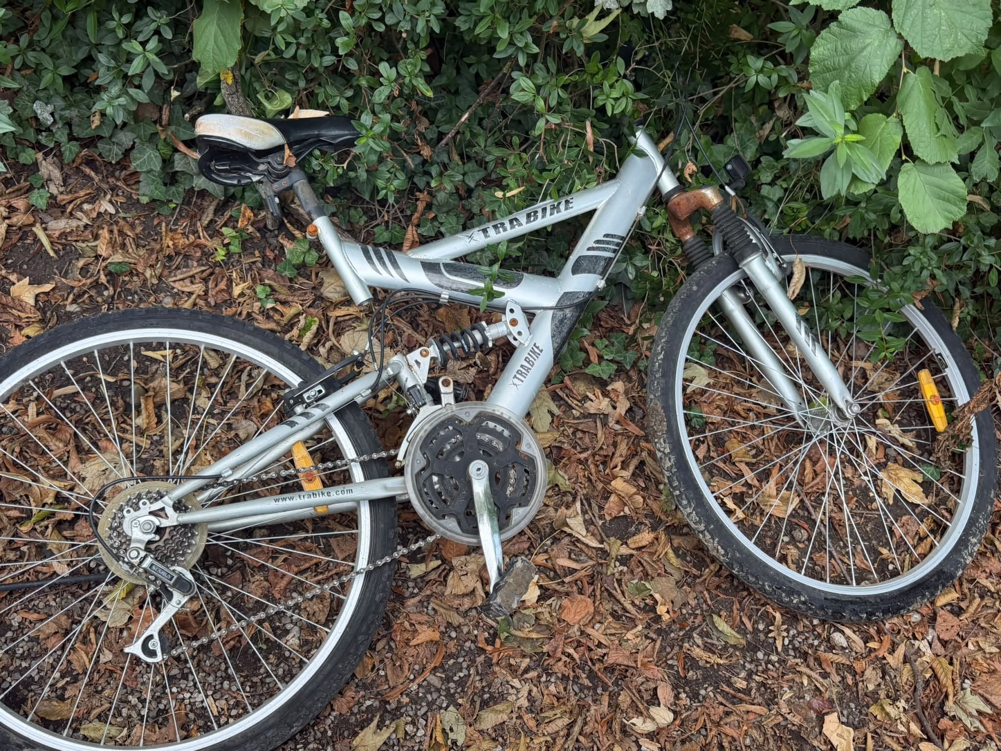 Found bike