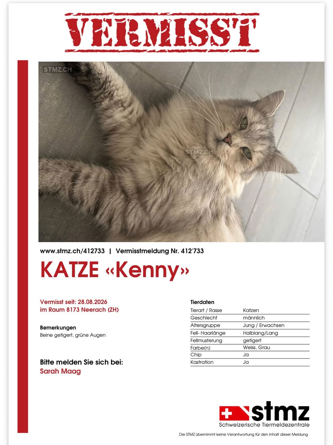 Lost Cat in Zurich