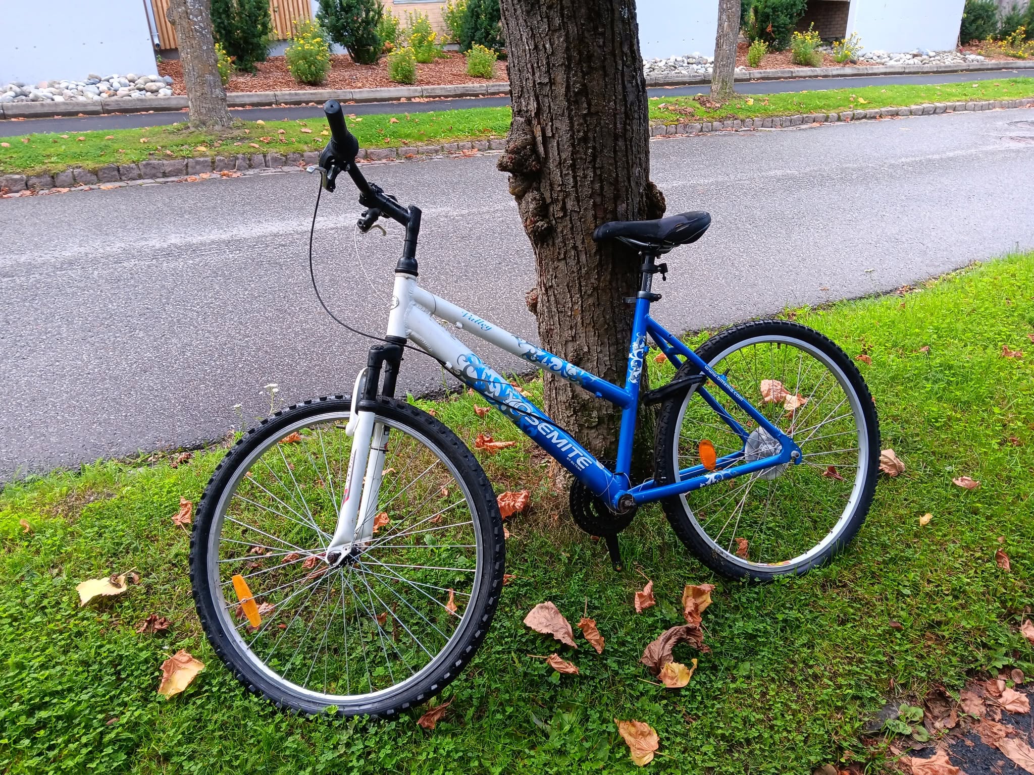 Found bike