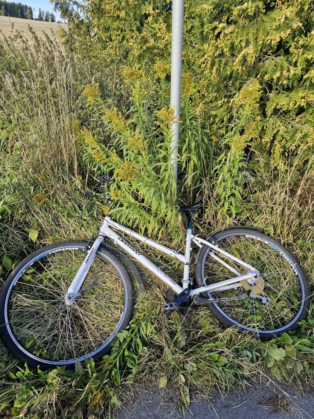 Found Bike in Hamar