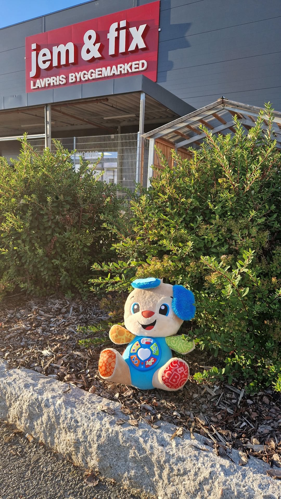 Found toy