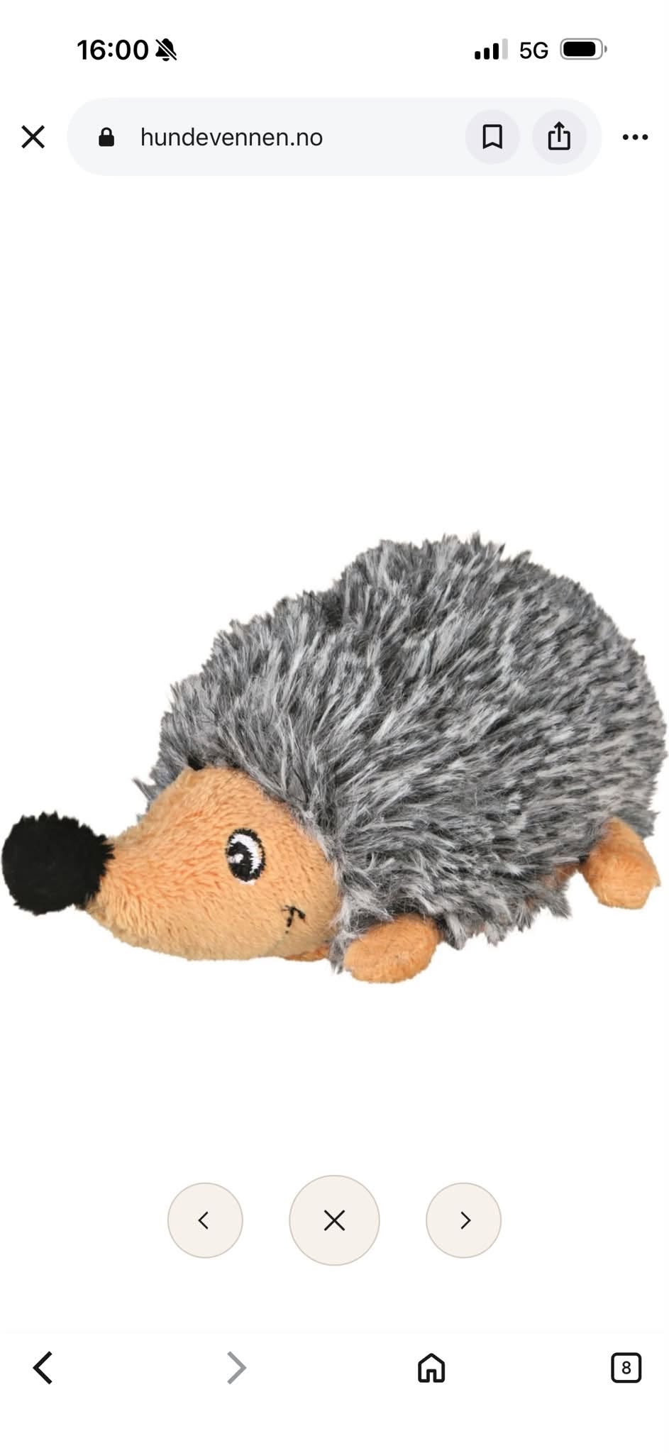 Lost Toy in Hamar