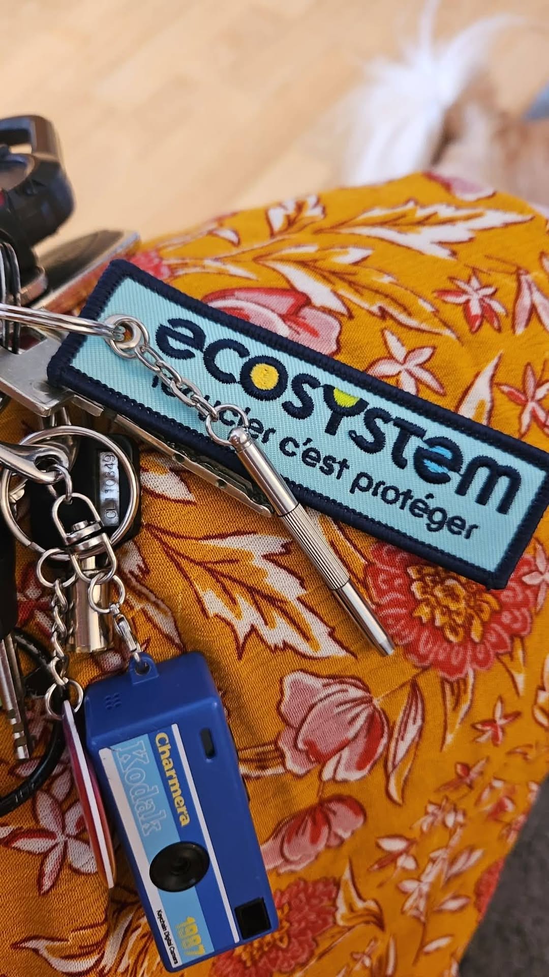 Lost Keys in Geneva
