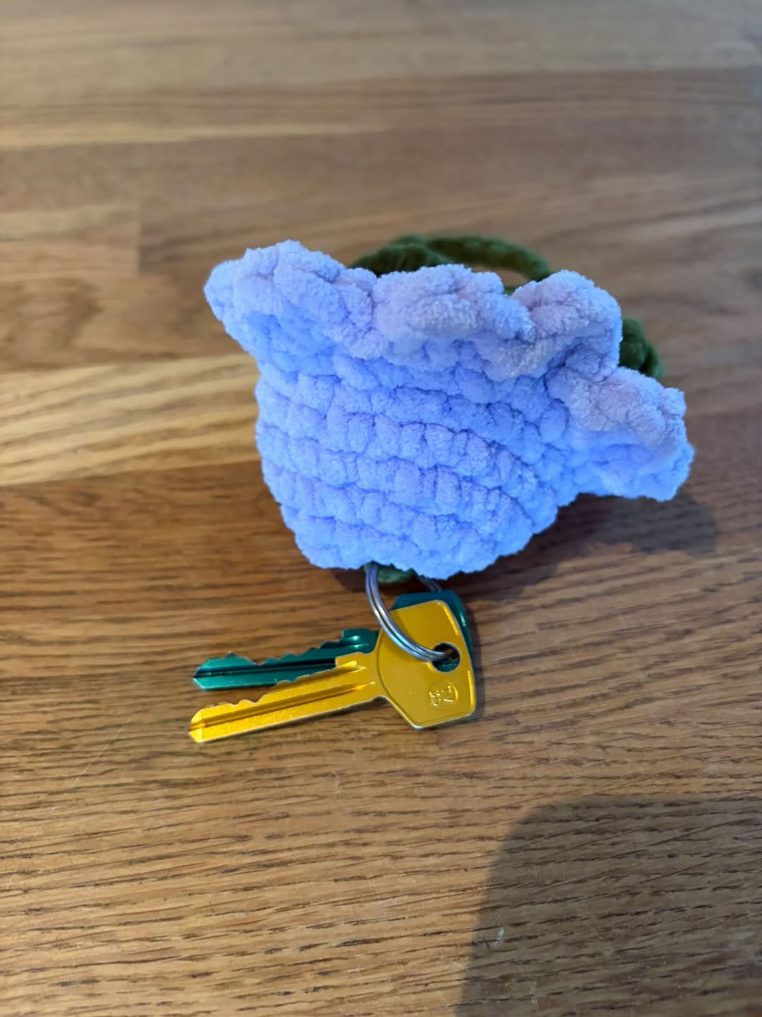 Found keys