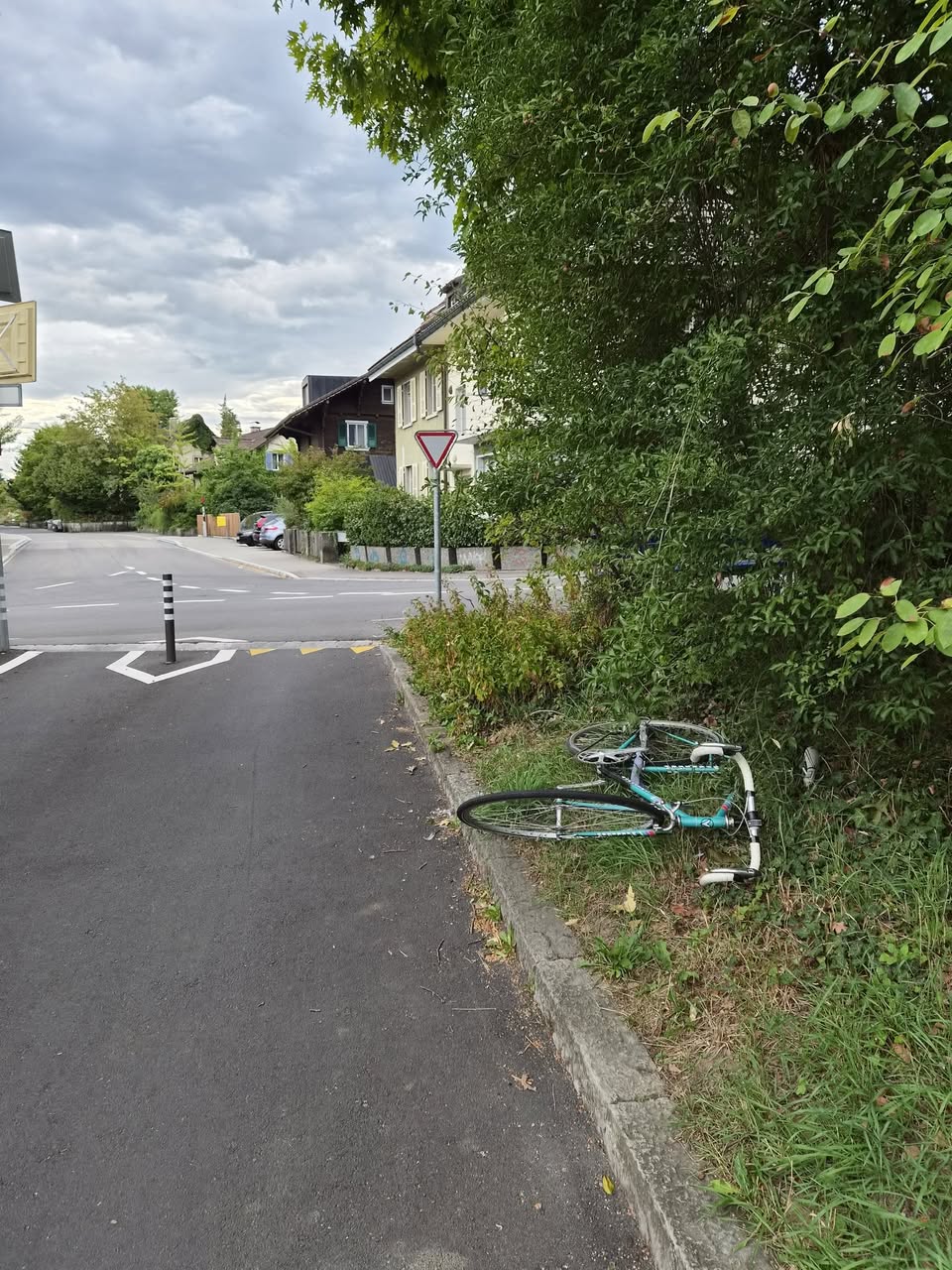 Found bike