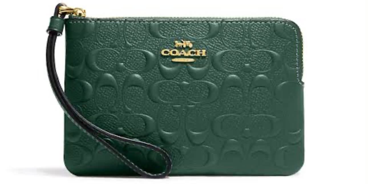 Lost Wallet in Sydney