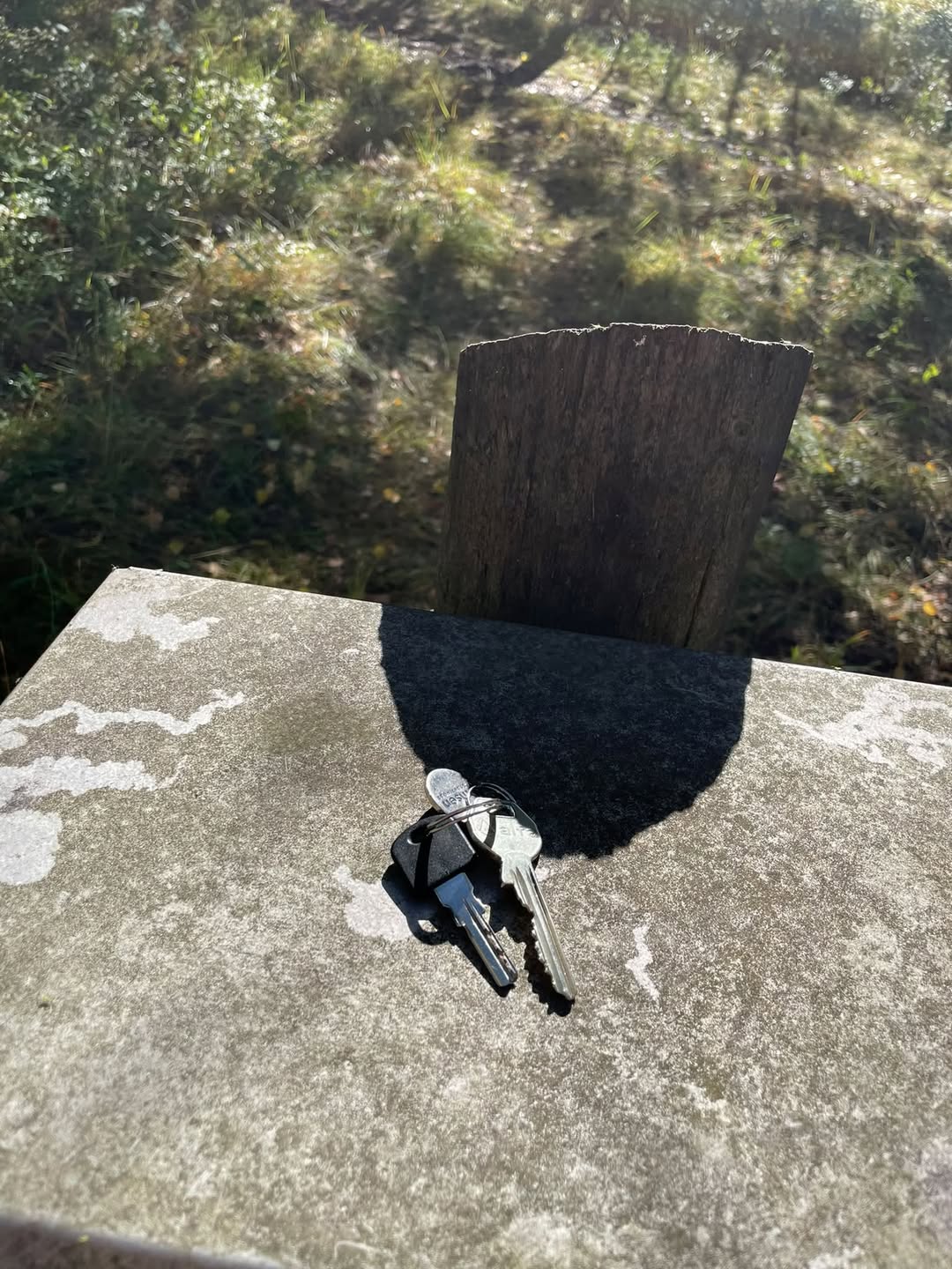 Found keys