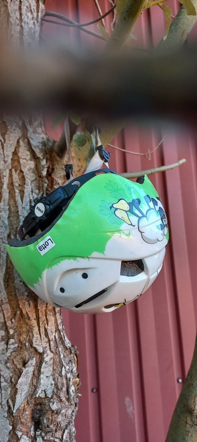 Found helmet