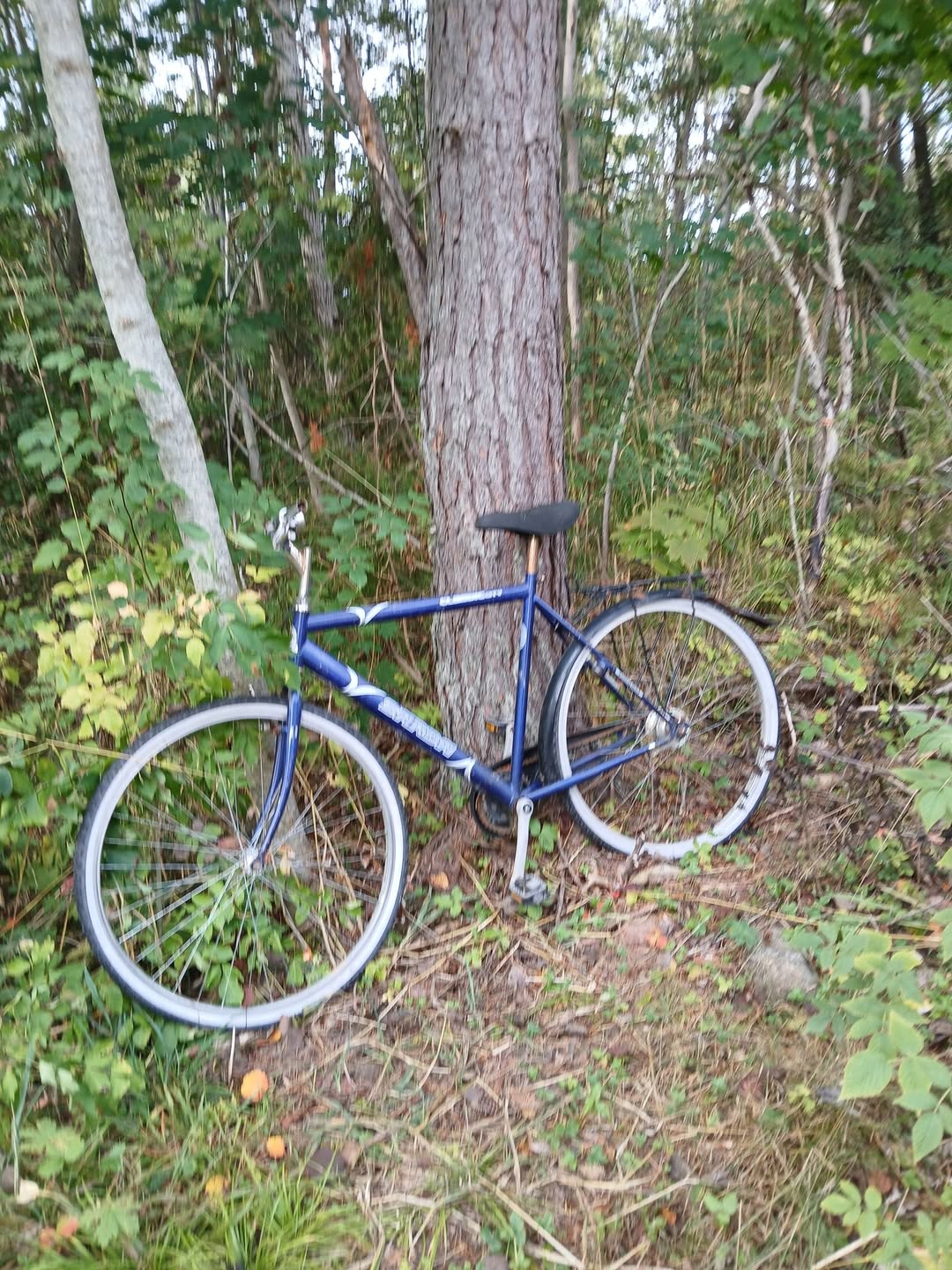 Found bike