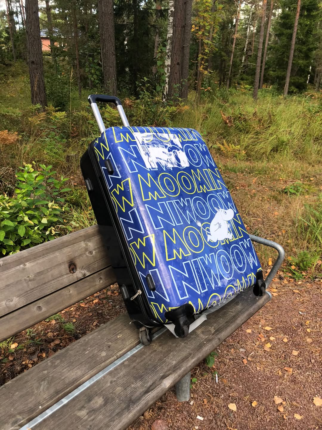 Found suitcase