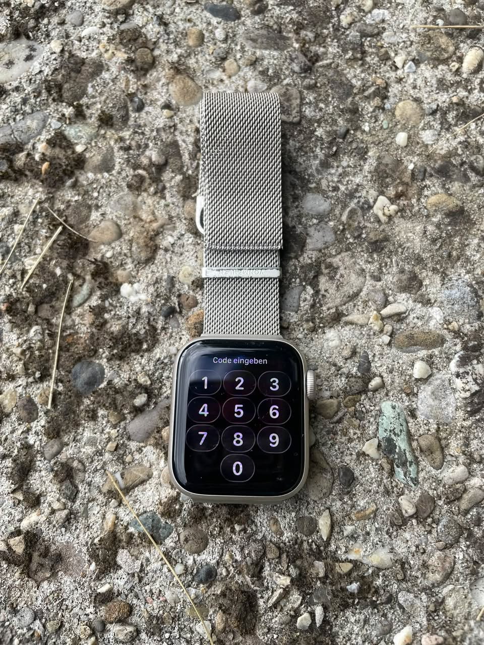 Found Digital Device in Erlinsbach
