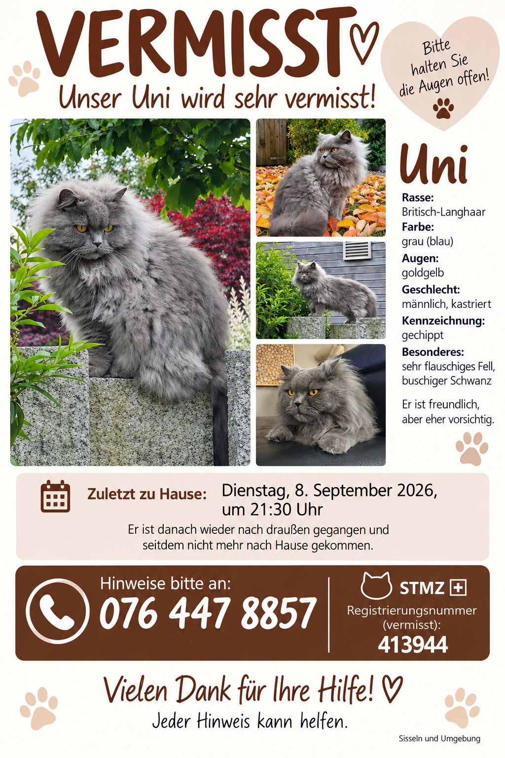 Lost Cat in Aargau