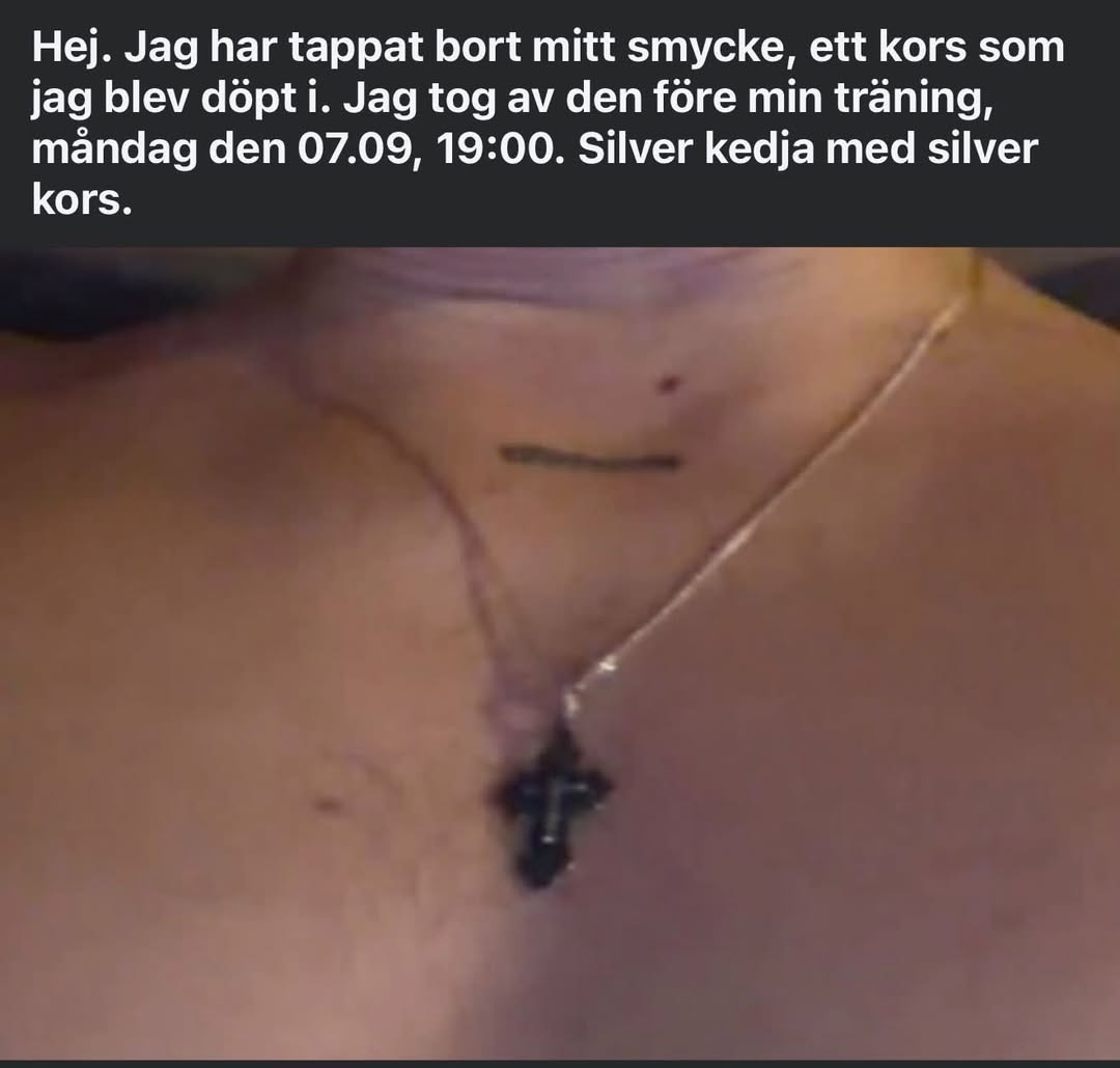 Lost Necklace in ÅLand