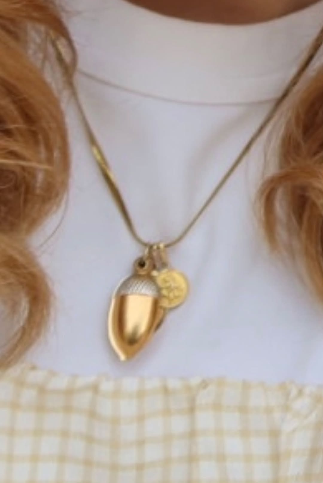 Lost Necklace in Sydney