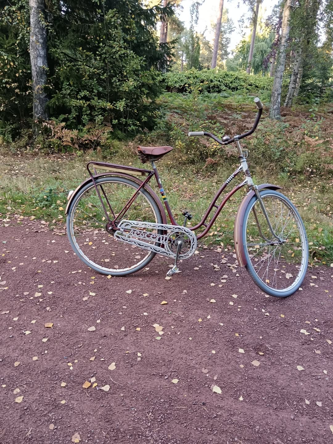 Found Bike in Mariehamn