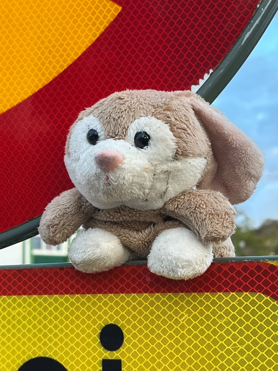 Found Toy in ÅLand