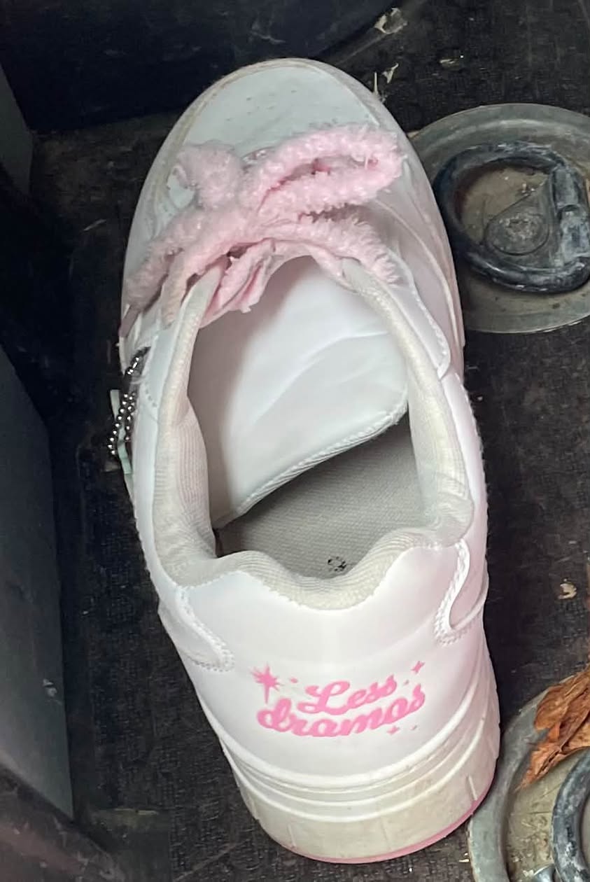 Found shoes