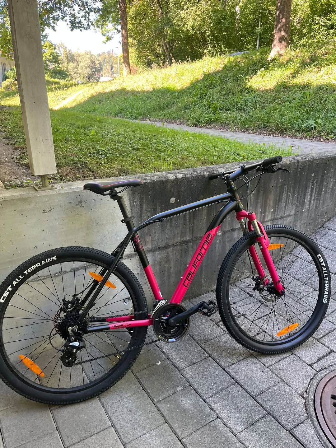 Found bike