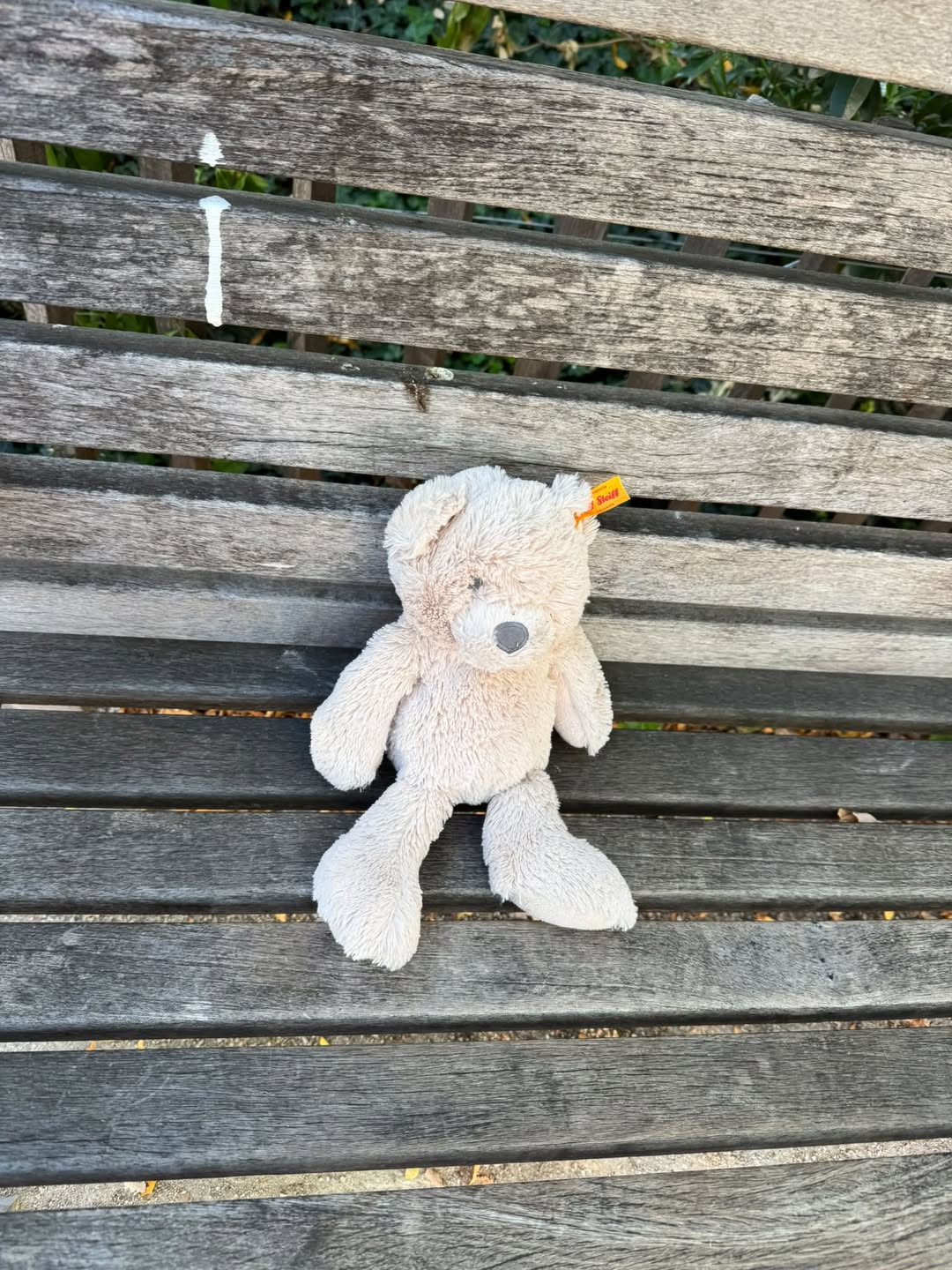 Found Toy in Geneva