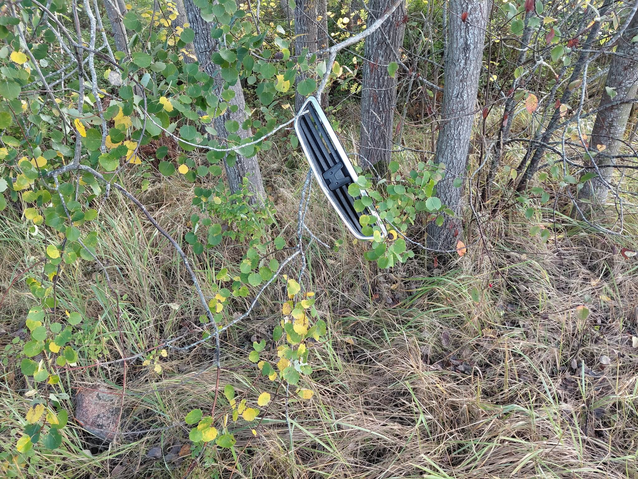 Found car