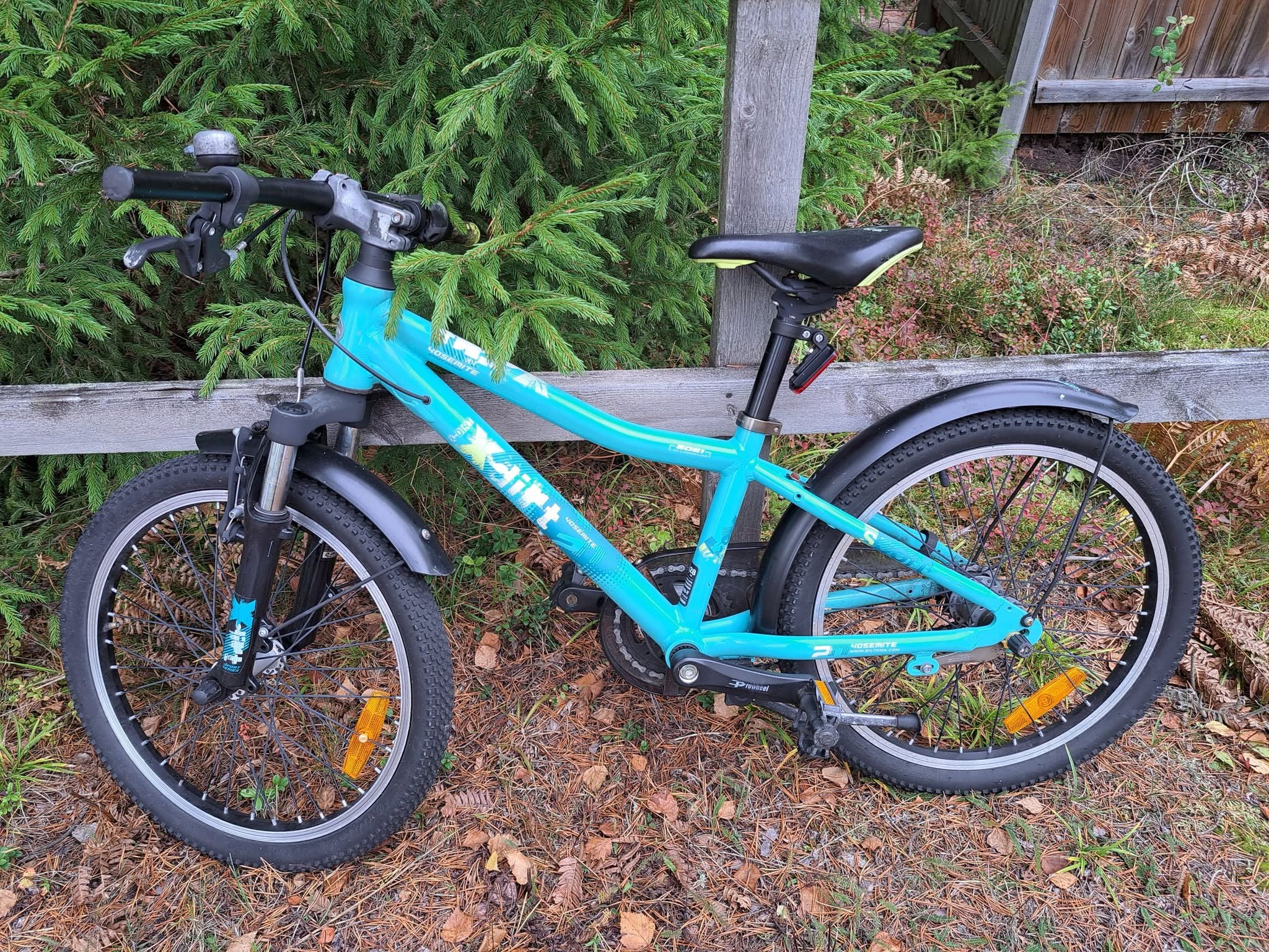 Found bike