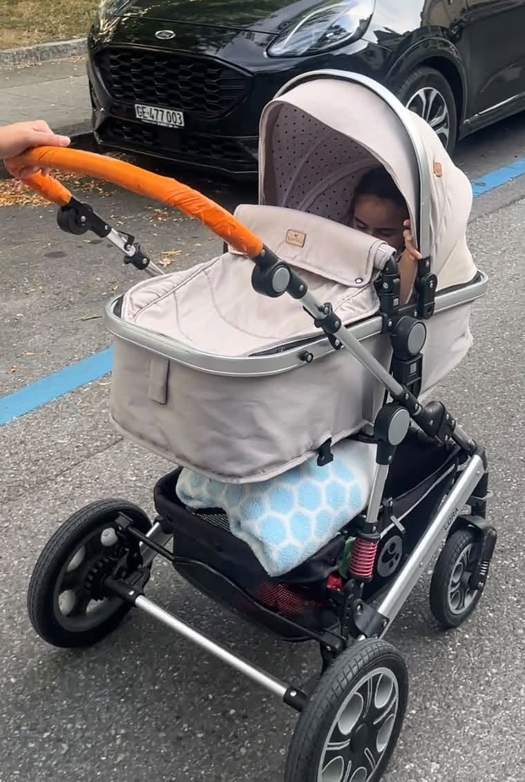 Lost Stroller in Geneva
