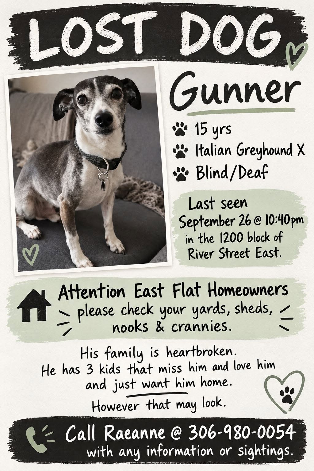 Lost Dog in East Flat