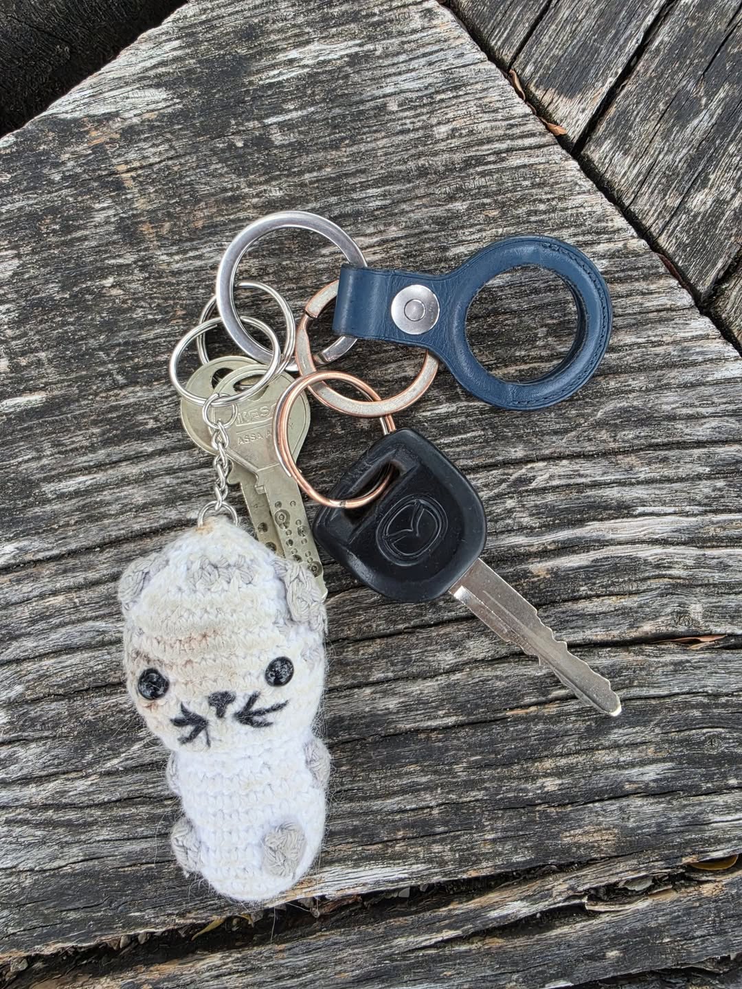 Found keys