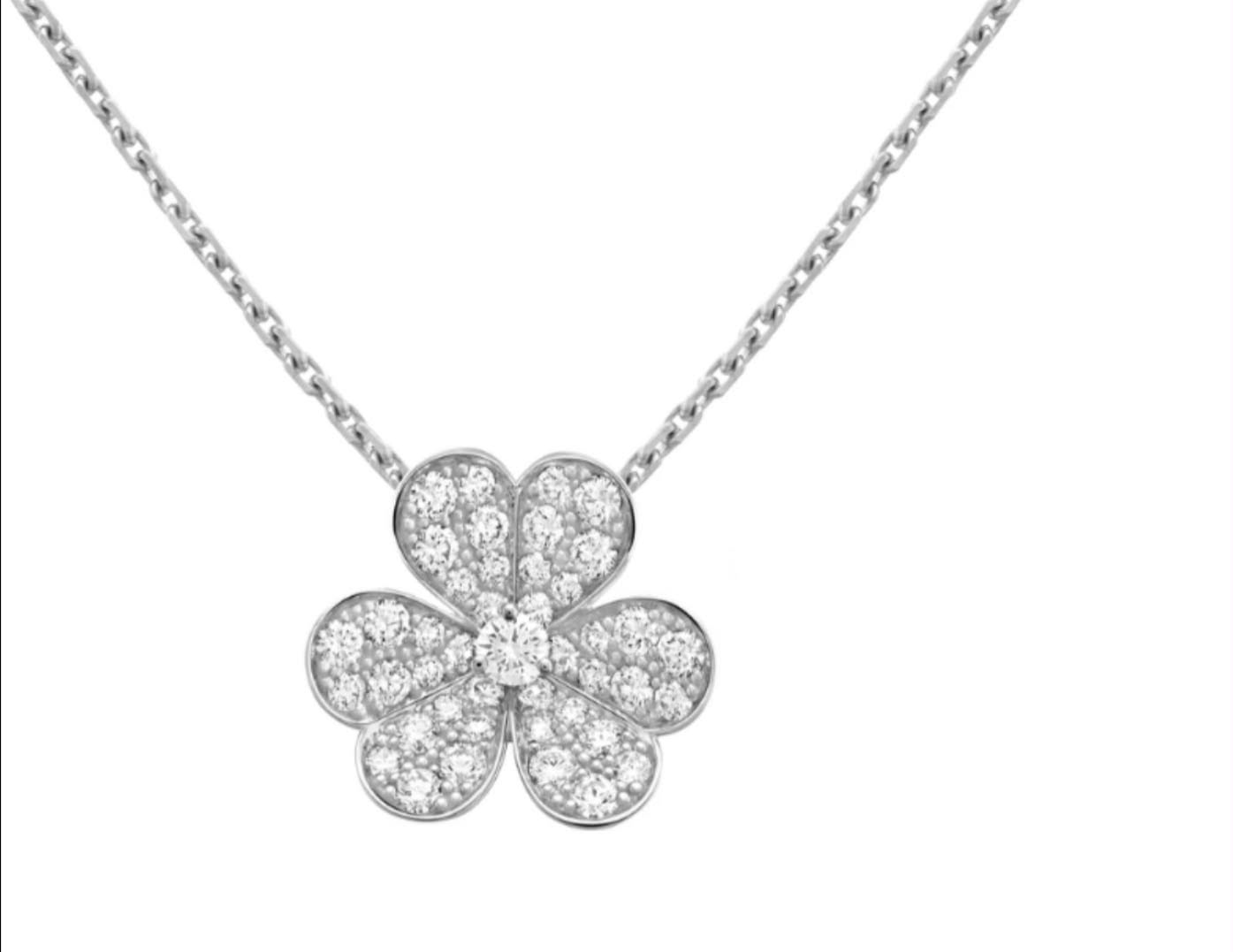 Lost Necklace in Sydney