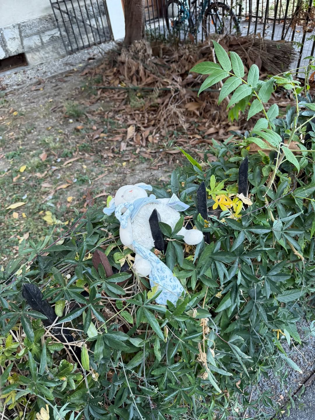 Found toy