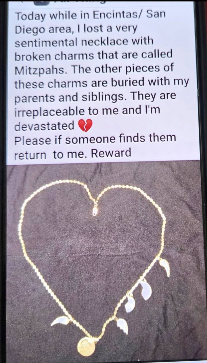 Lost Necklace in Encinitas