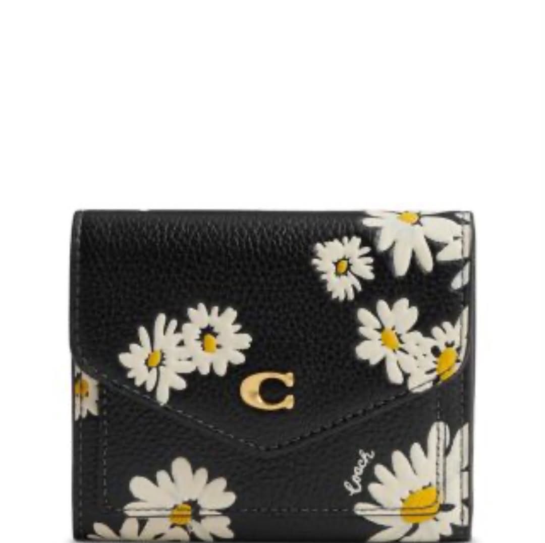 Lost Wallet in Chula Vista