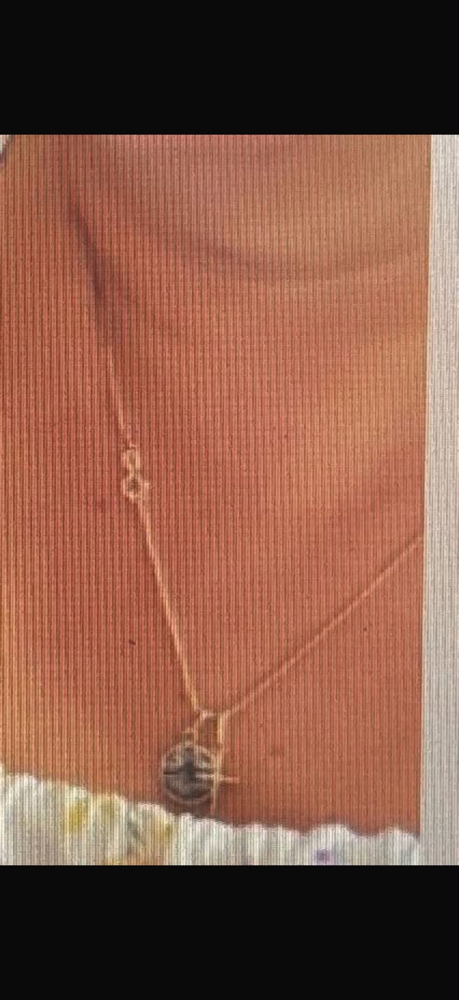 Lost Necklace in Leeds