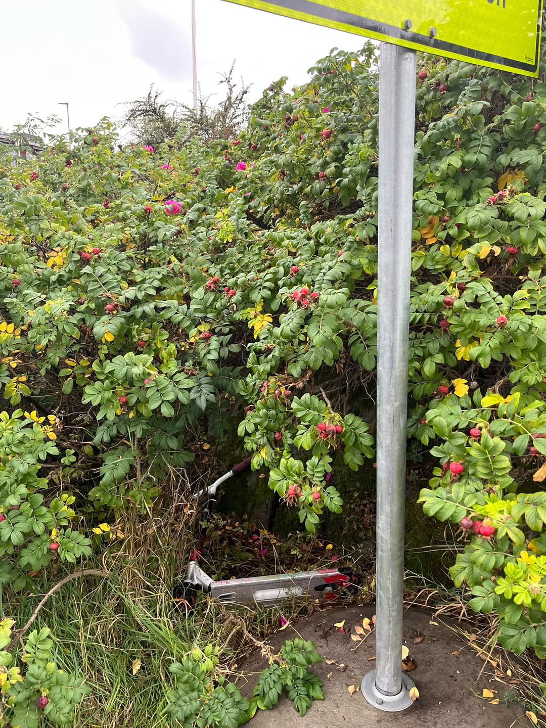 Found scooter