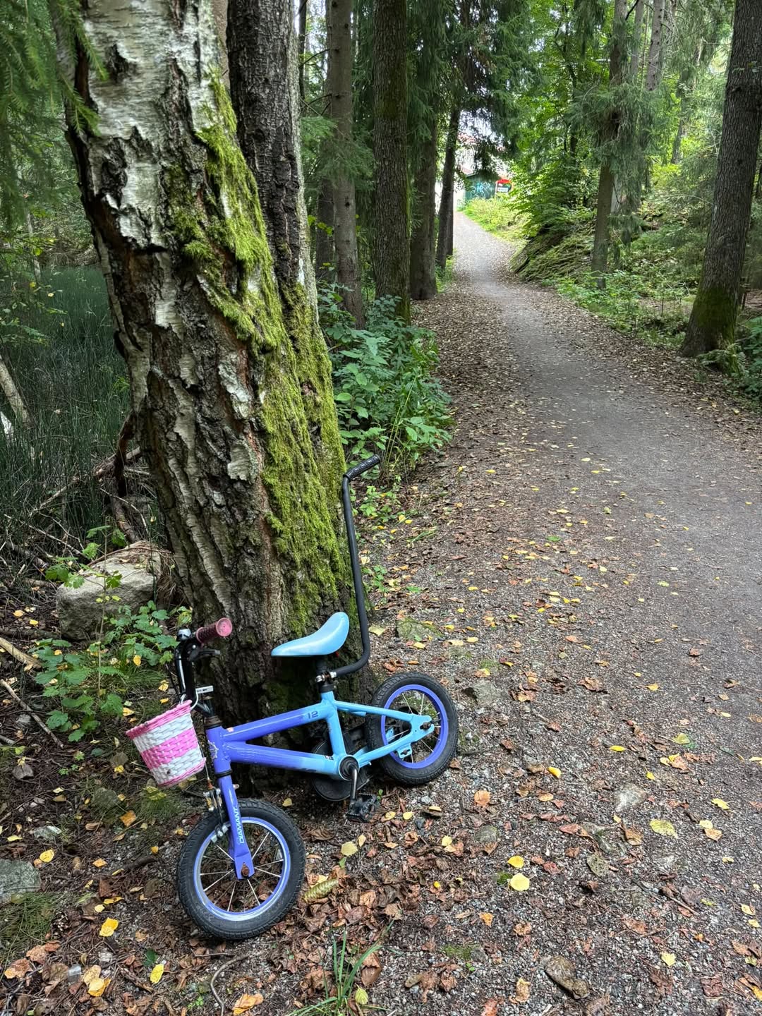 Found bike