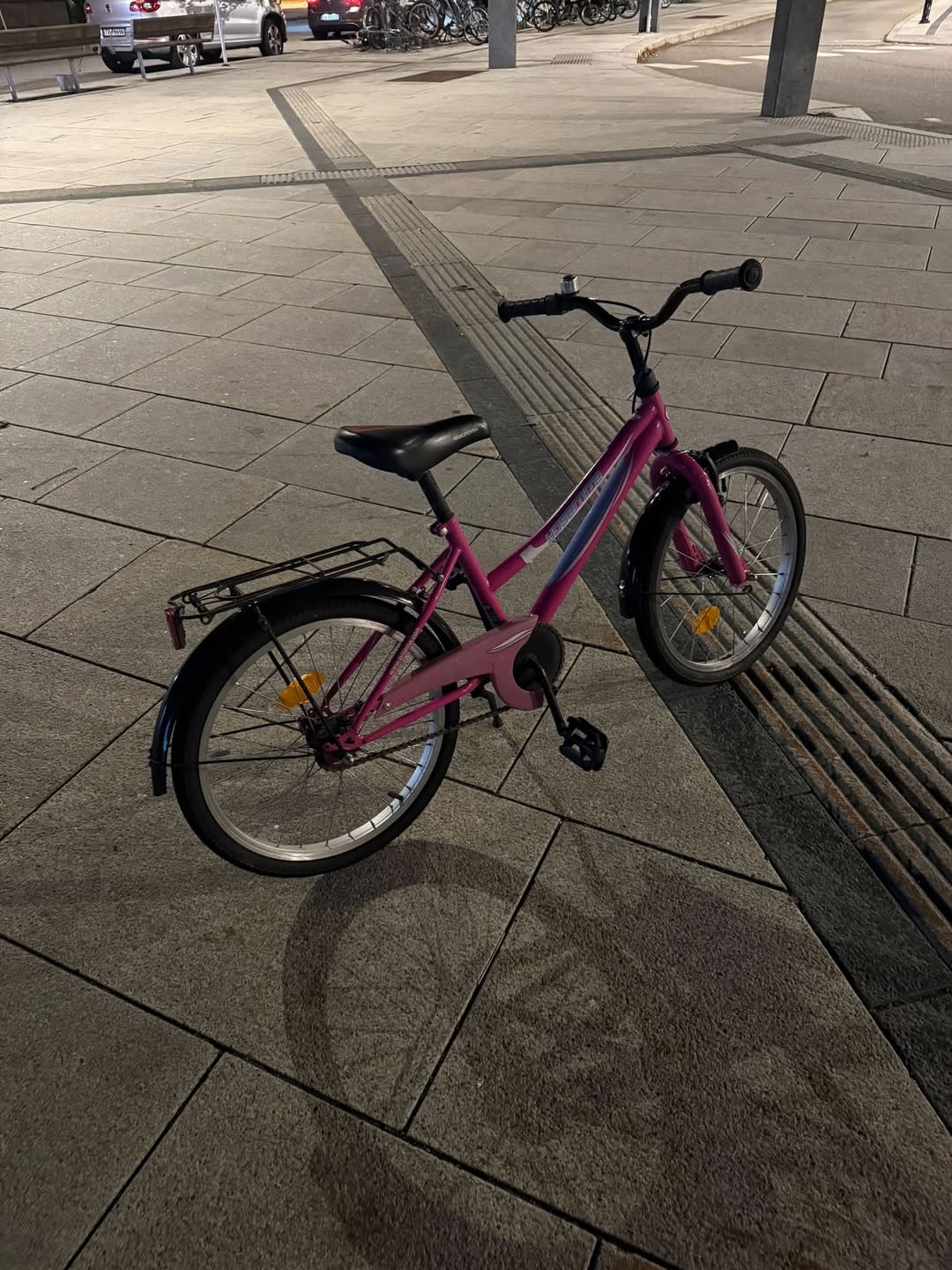 Found bike