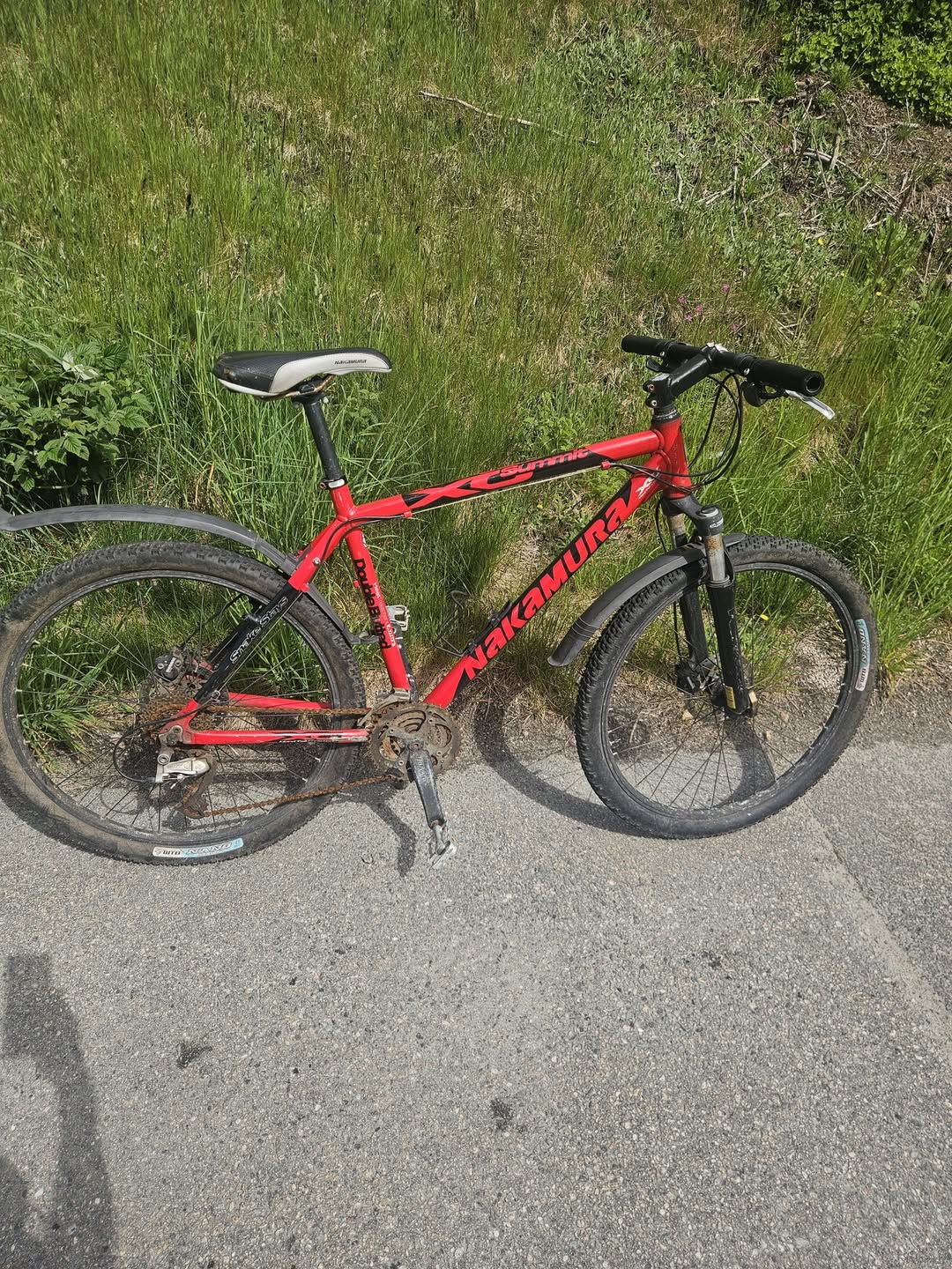 Found bike