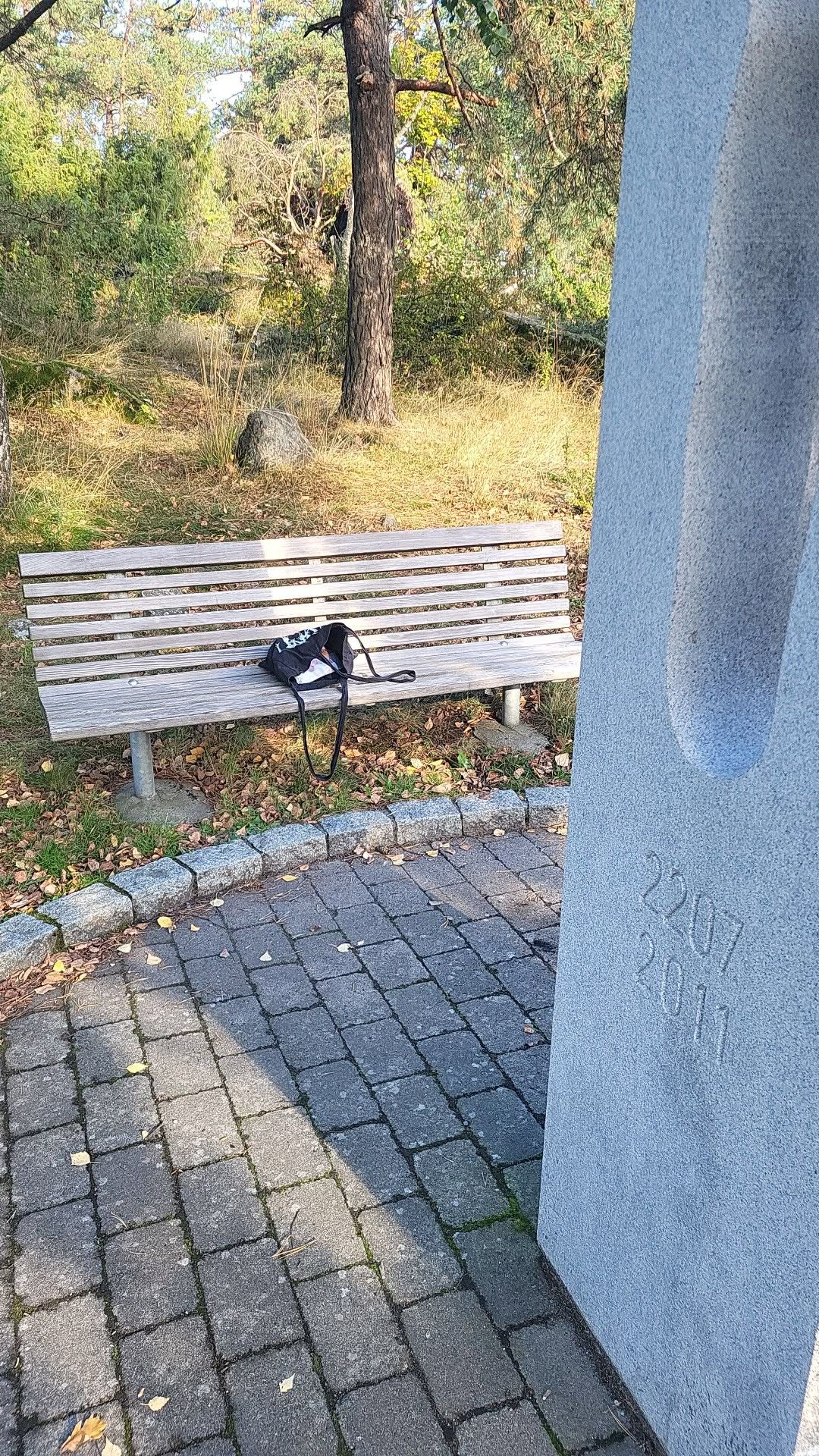 Found bag