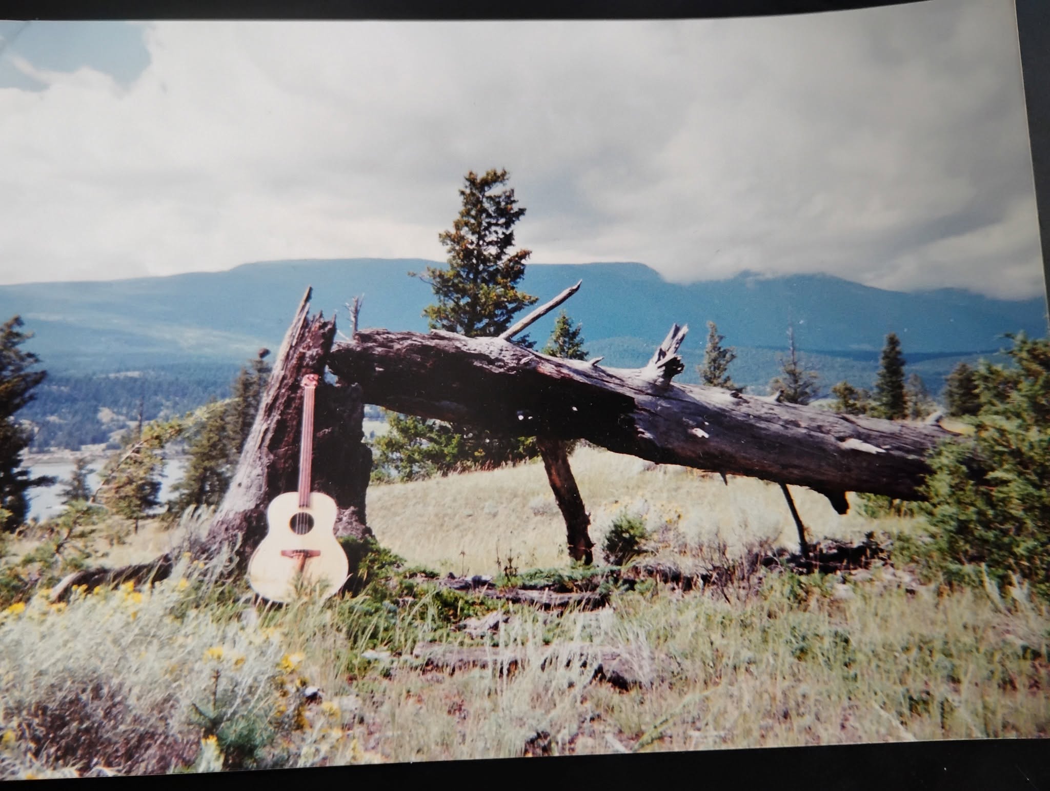 Lost guitar