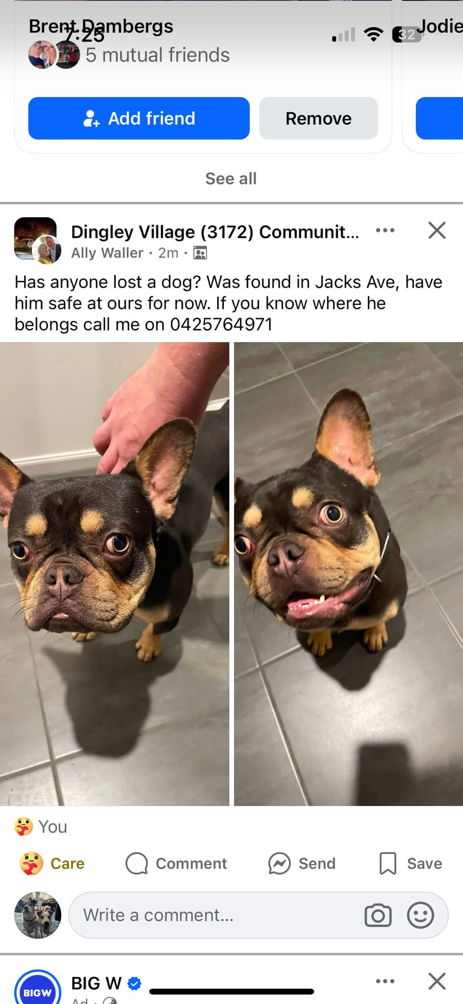 Found dog