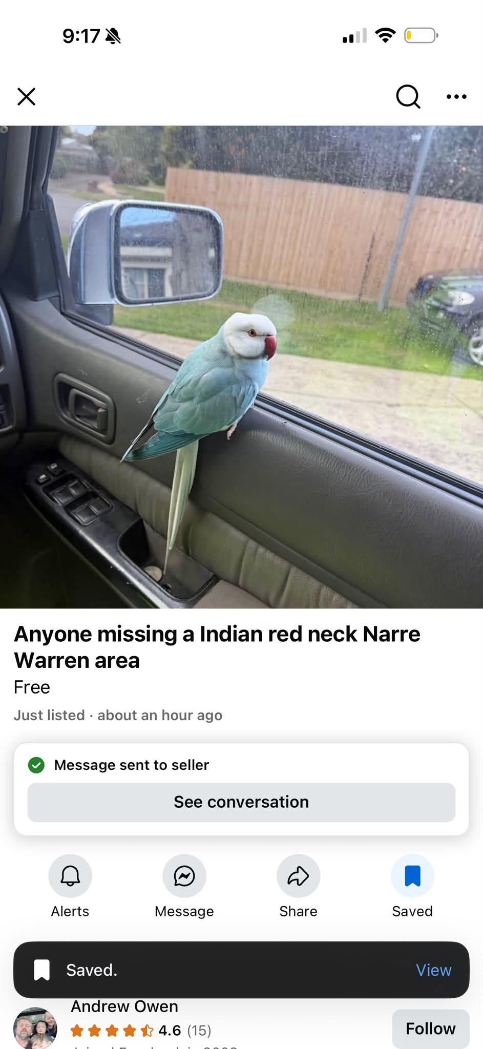 Found bird