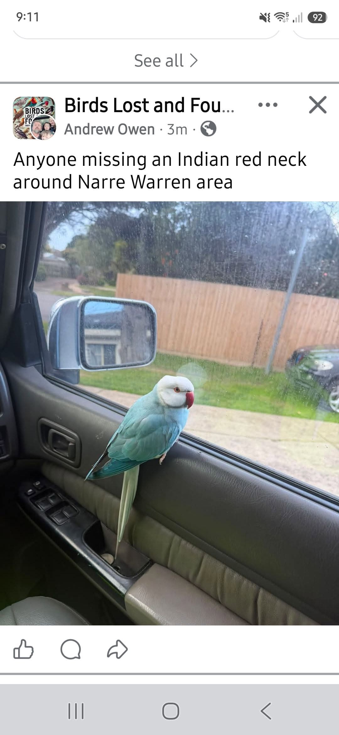Found bird